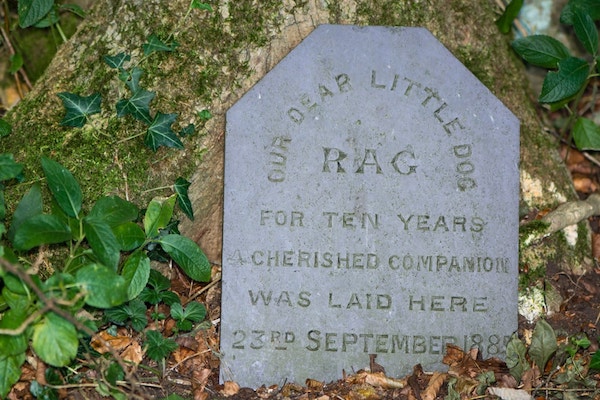 Tombstone for a beloved pet dog named Rag