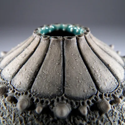 Pot Inspired by the Sea