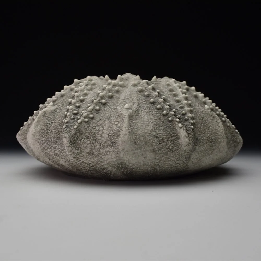 Porcelain Ceramic Wall sculpture Art by Irish Ceramic Artist Darren Francis Cassidy