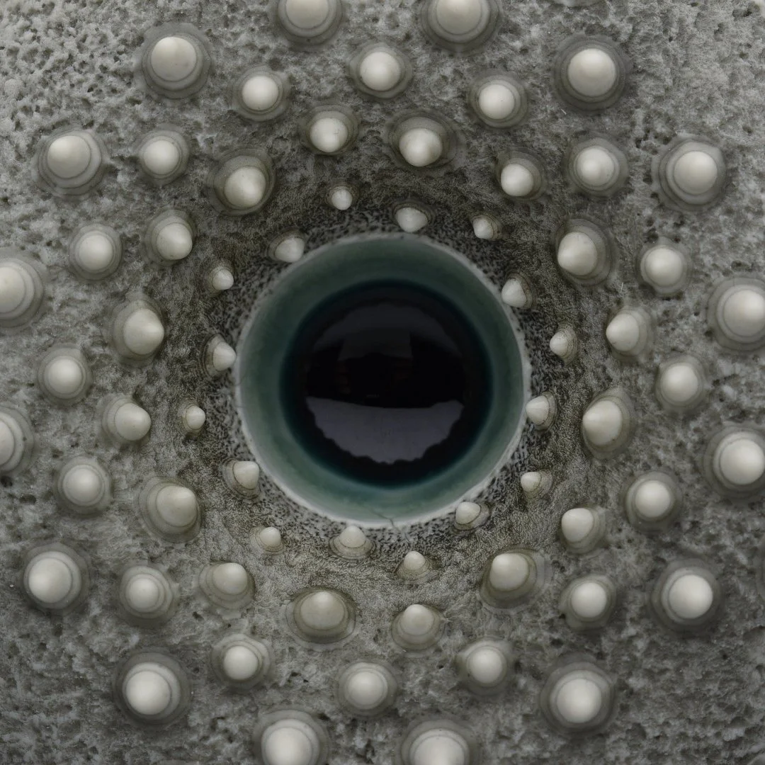 Porcelain Ceramic Wall sculpture Art by Irish Ceramic Artist Darren Francis Cassidy