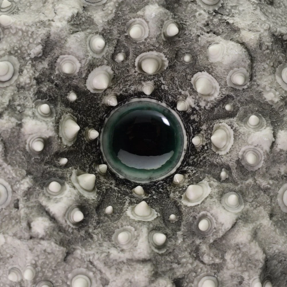 Detail macro photograph of Porcelain Ceramic Wall sculpture Art by Irish Ceramic Artist Darren Francis Cassidy