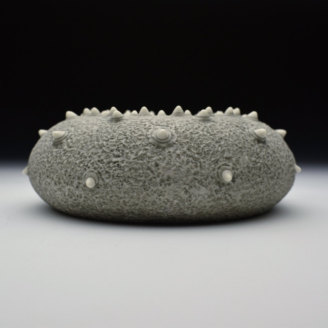 Porcelain Ceramic Wall sculpture Art by Irish Ceramic Artist Darren Francis Cassidy