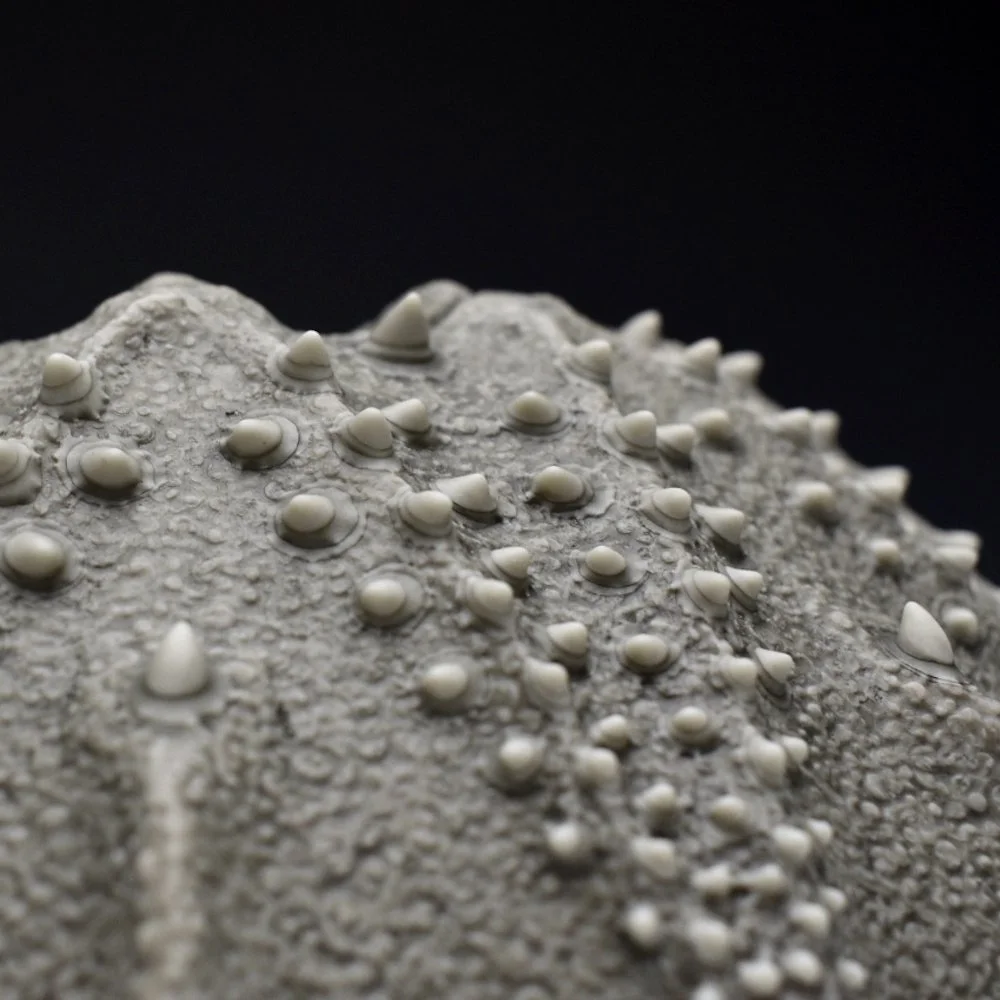 darrencassidyceramics12.jpg