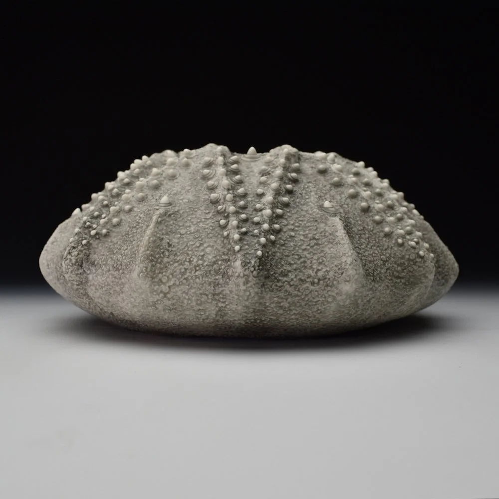 Porcelain Ceramic Wall sculpture Art by Irish Ceramic Artist Darren Francis Cassidy