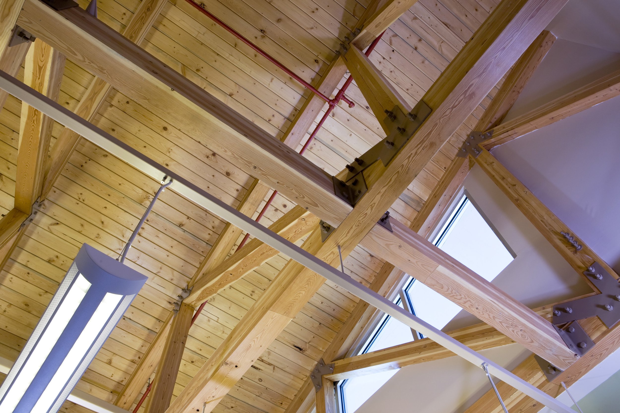 Catalina_Trusses.jpg