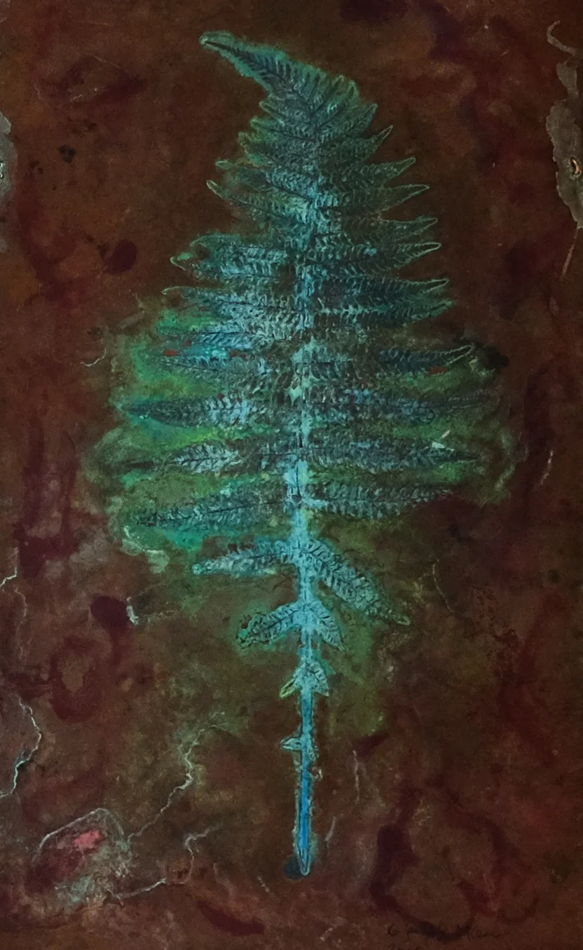Fern