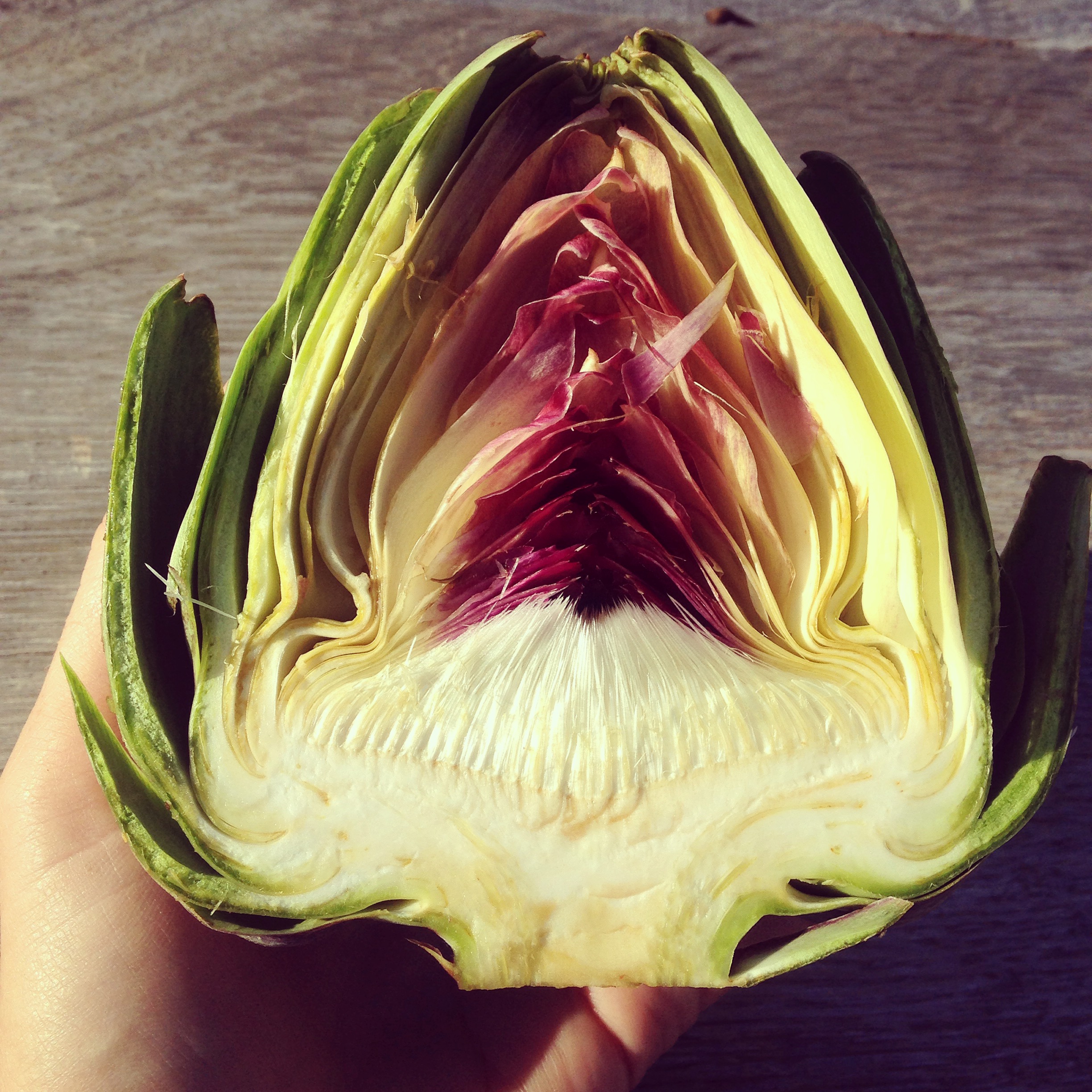 Medicine Song Circle & Potluck