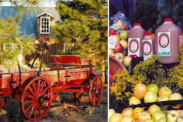 manzano-wagon-apples.jpg