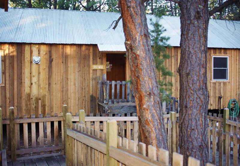 cabins_walkways.jpg