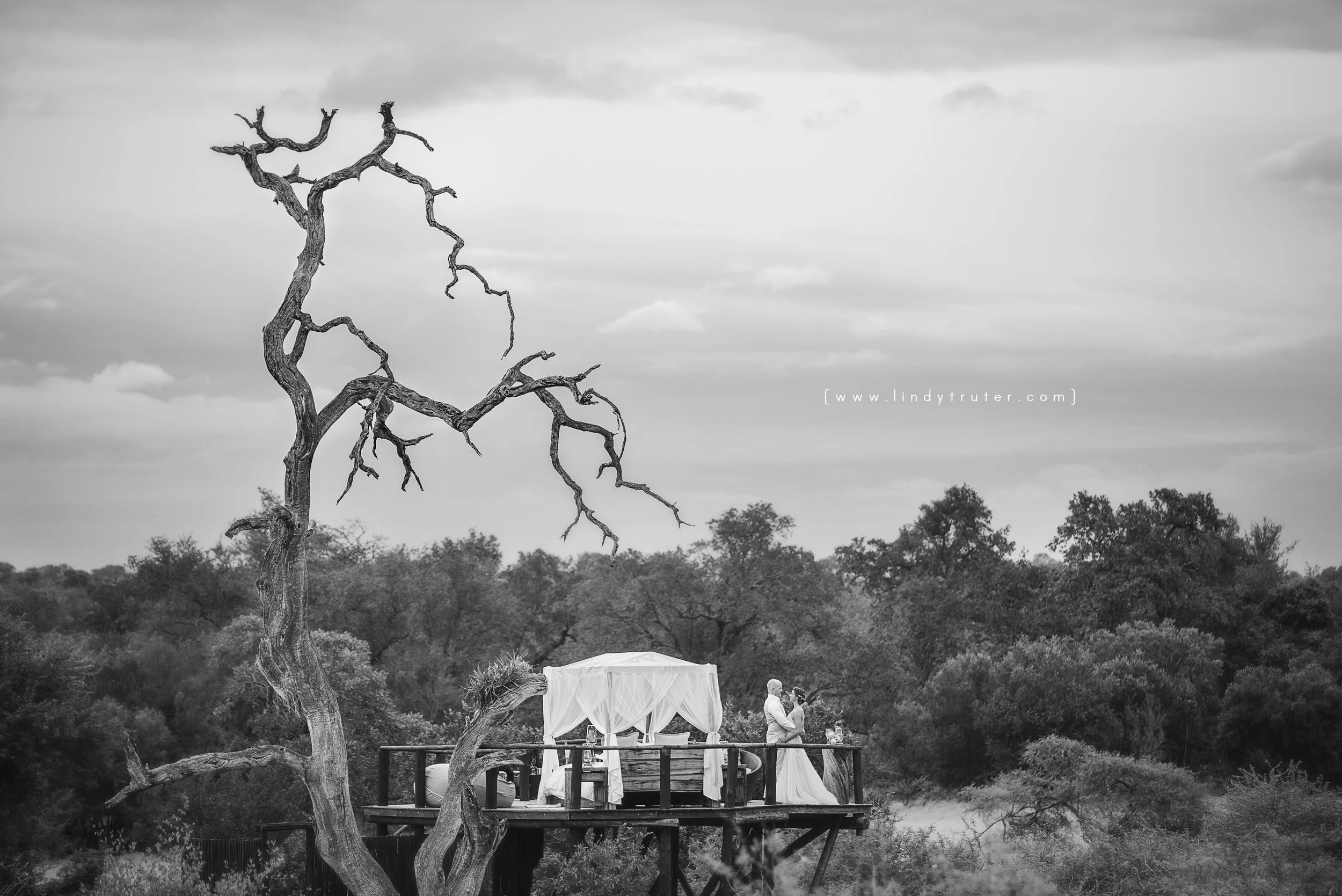 Flawless arranging & professional service