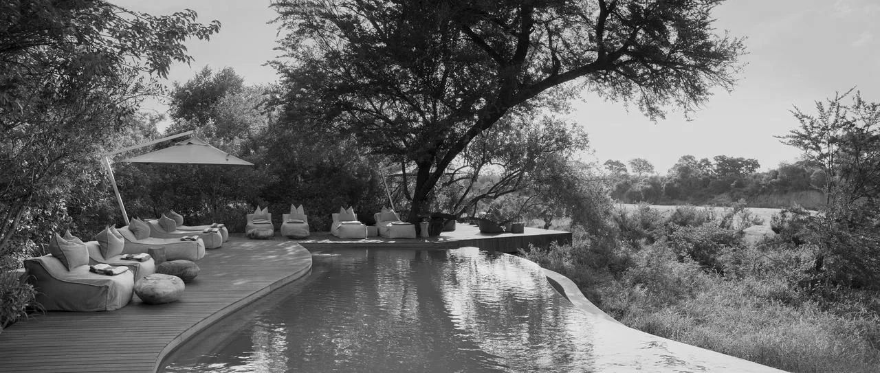 Perfect & memorable experience