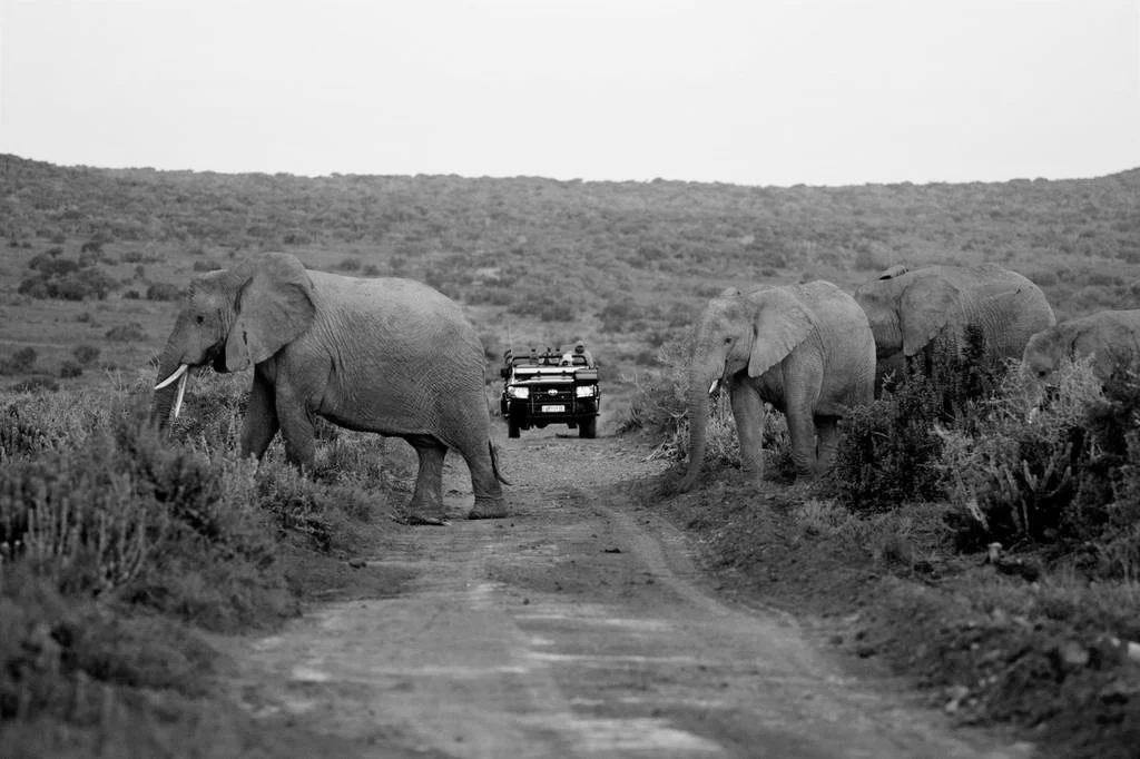 Incredible attention to detail