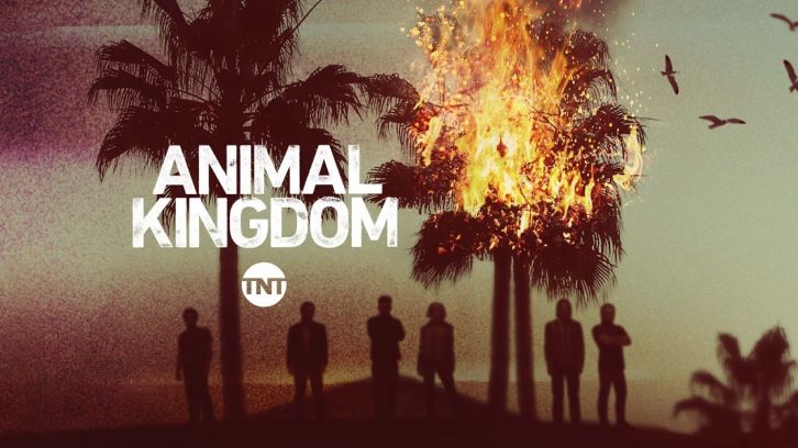 PSM Animal Kingdom promo.jpg