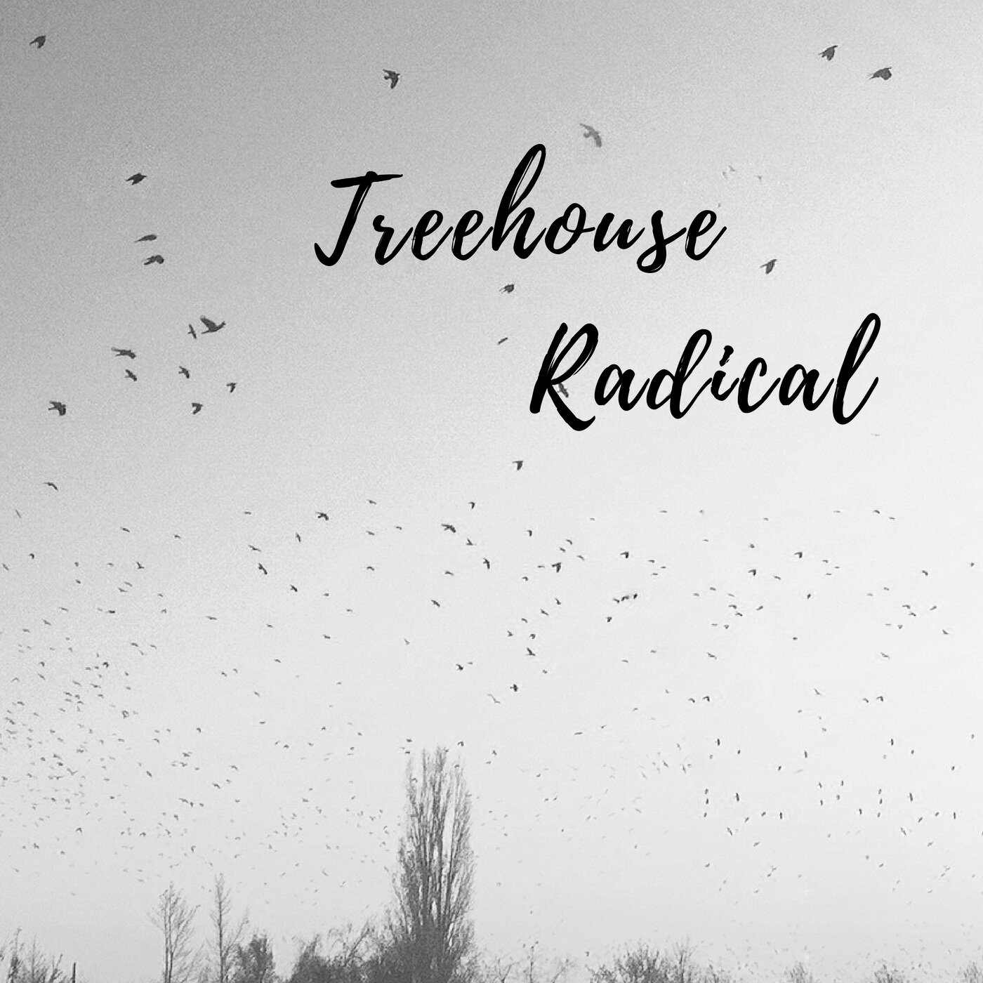 Treehouse Radical