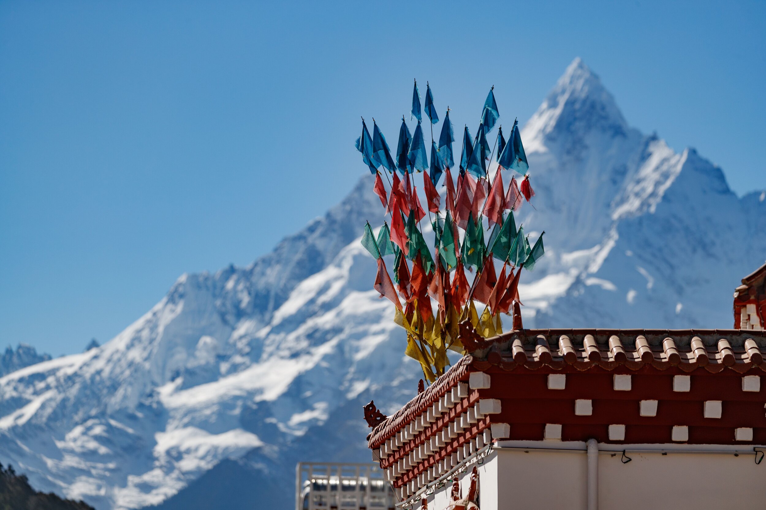 t building at meli.jpeg