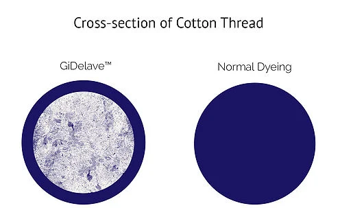 GiLeave Technology.jpg