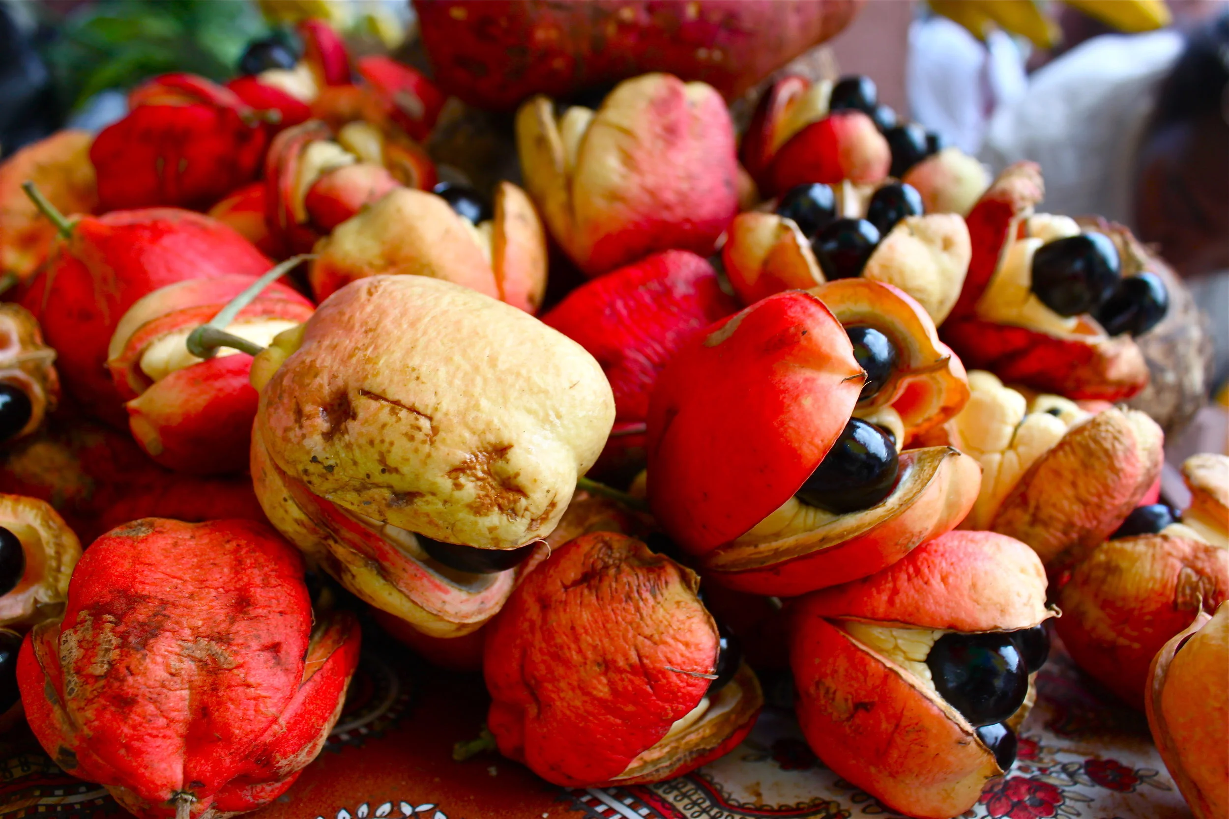 ackee2.jpg