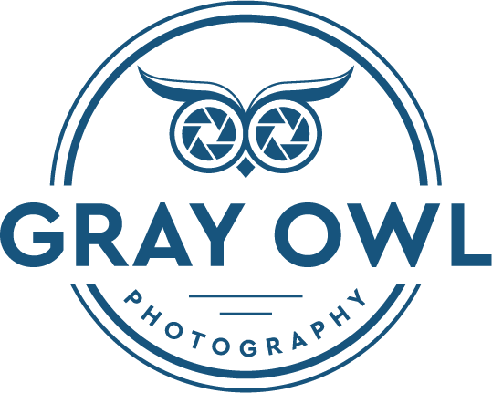 Gray Owl Photography