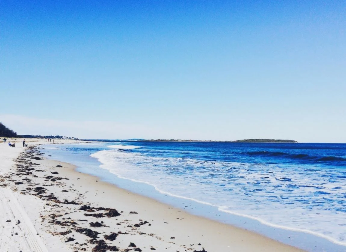 Summer shows; Tell me more, tell me more