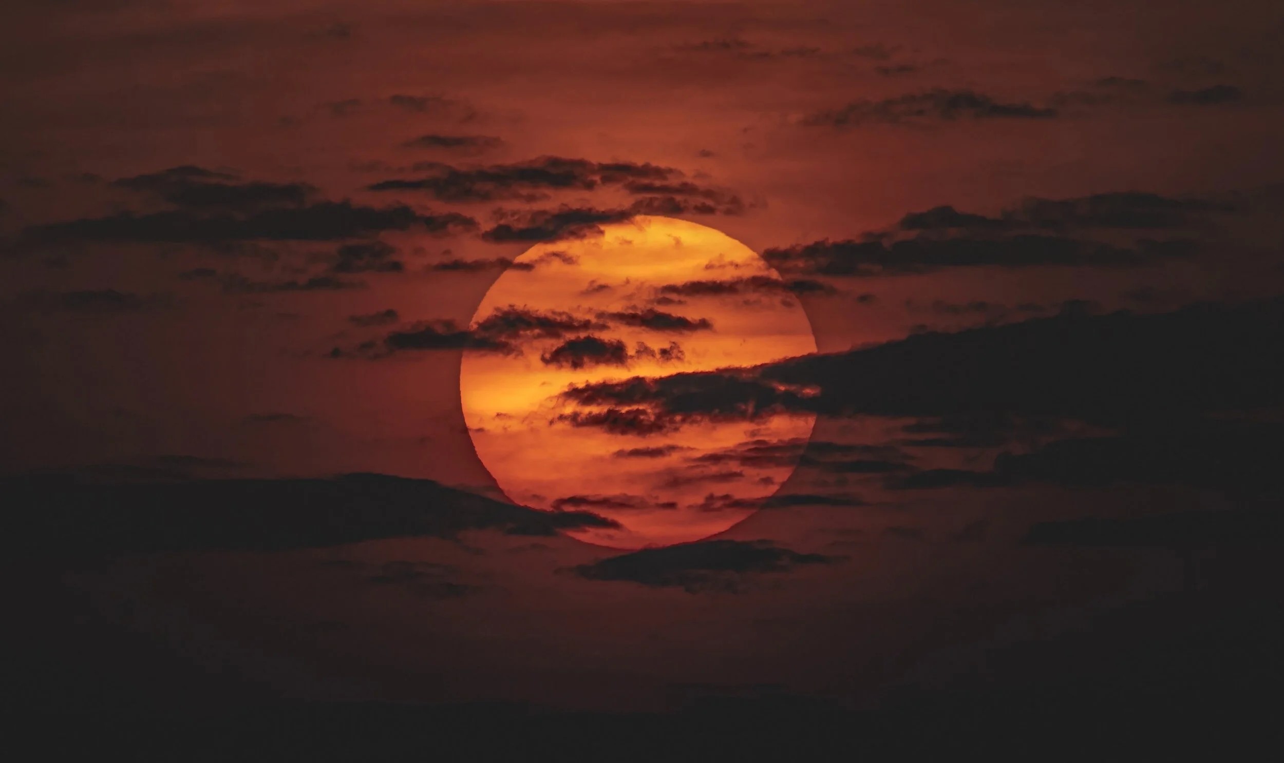 54: What in the world am I supposed to be for Halloween?