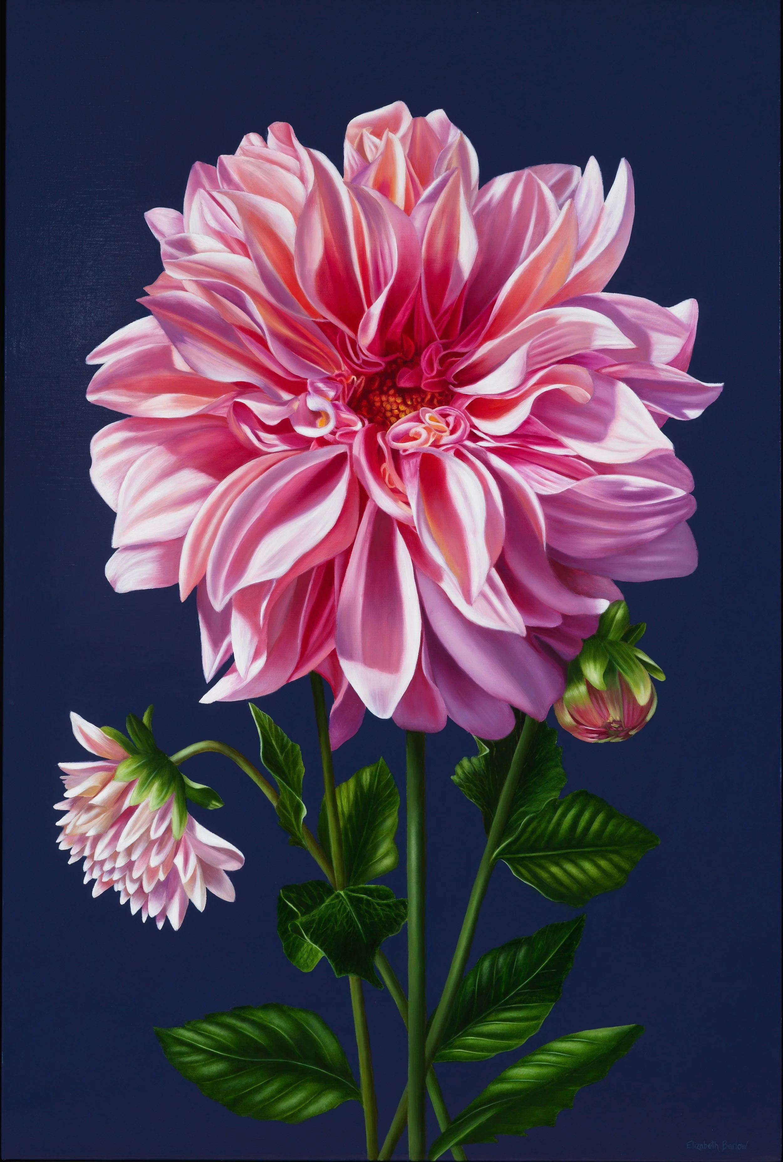 Empress: A Dahlia as Devotion
