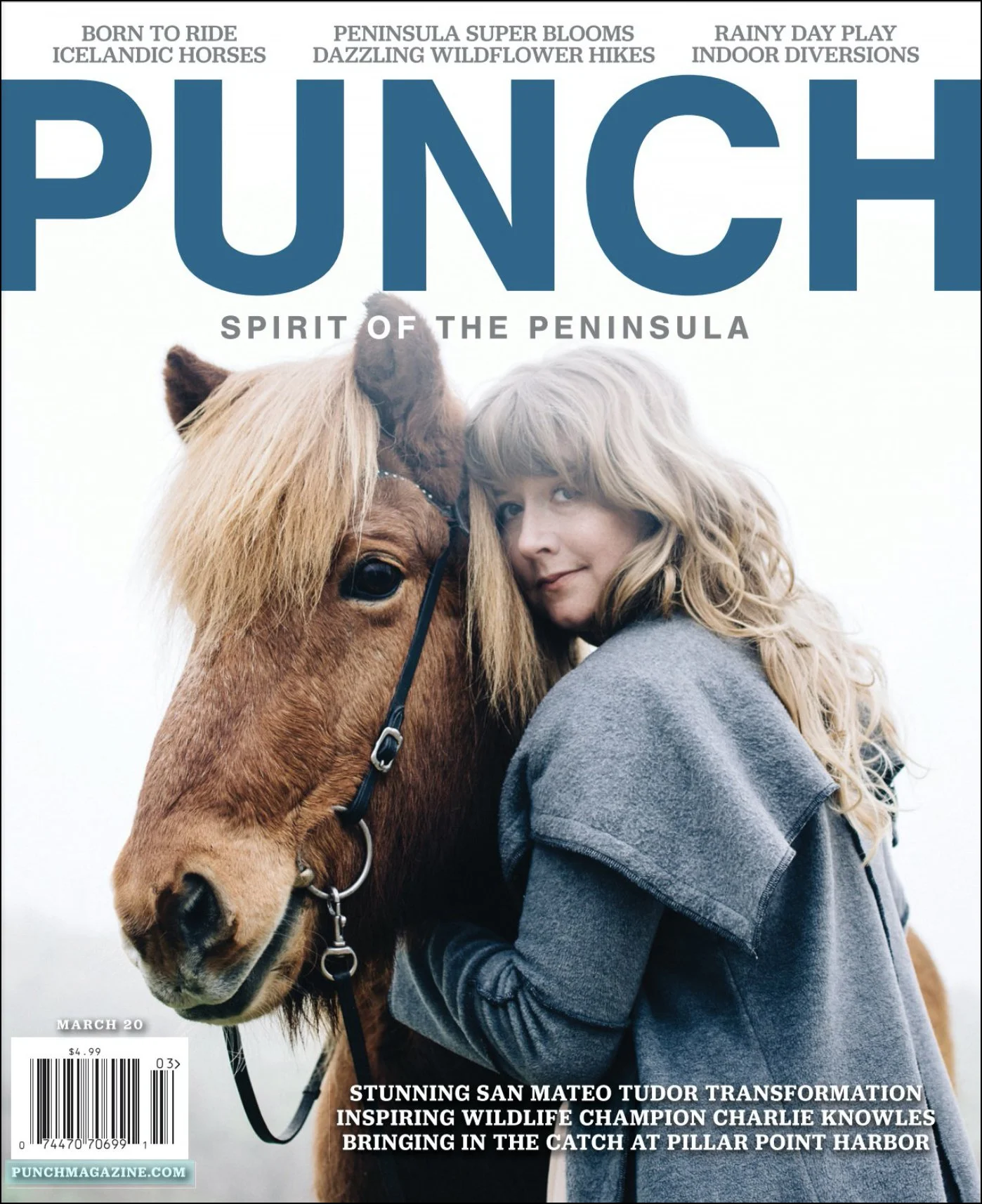 PUNCH MAGAZINE