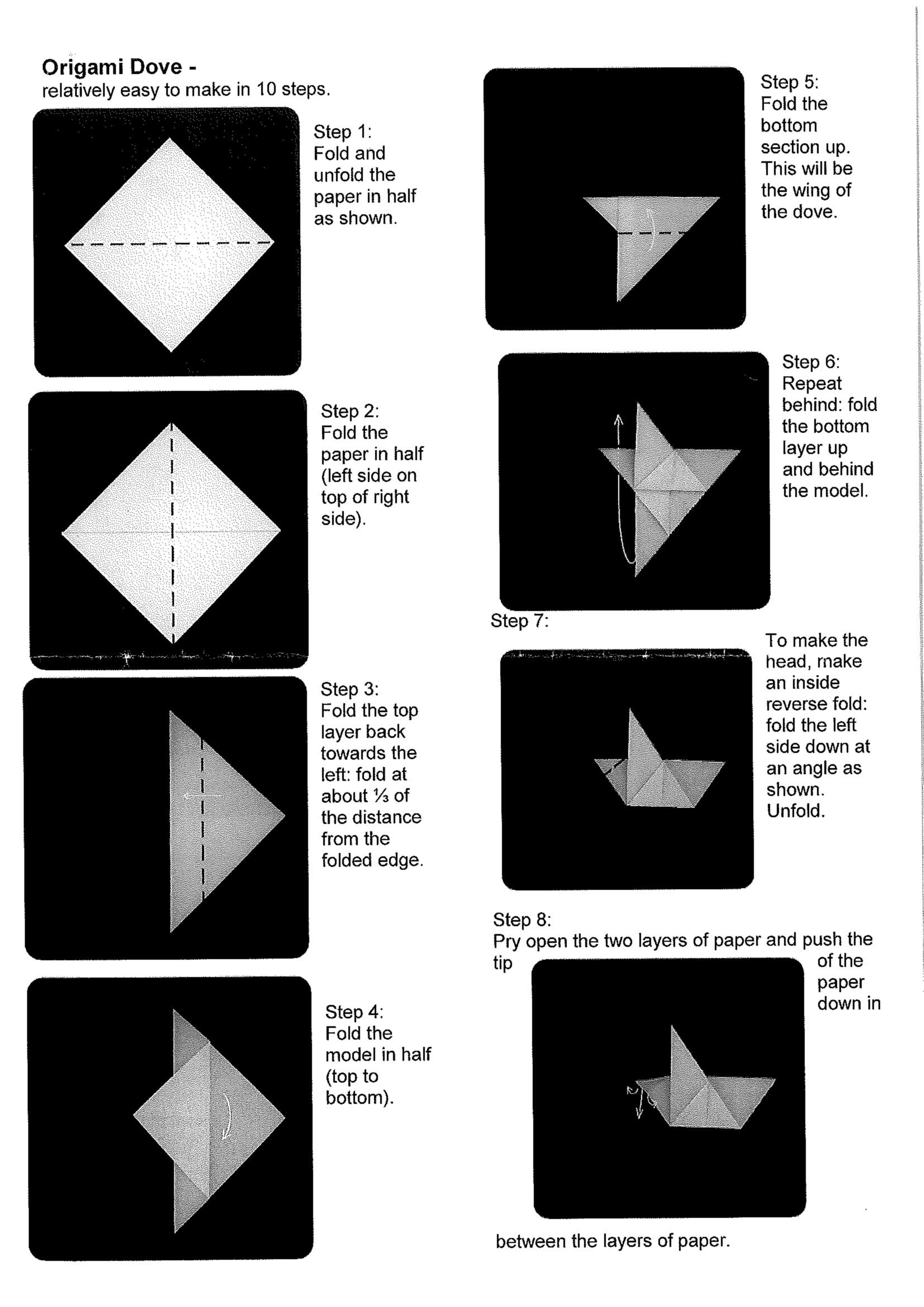 Doves_Page_1.png