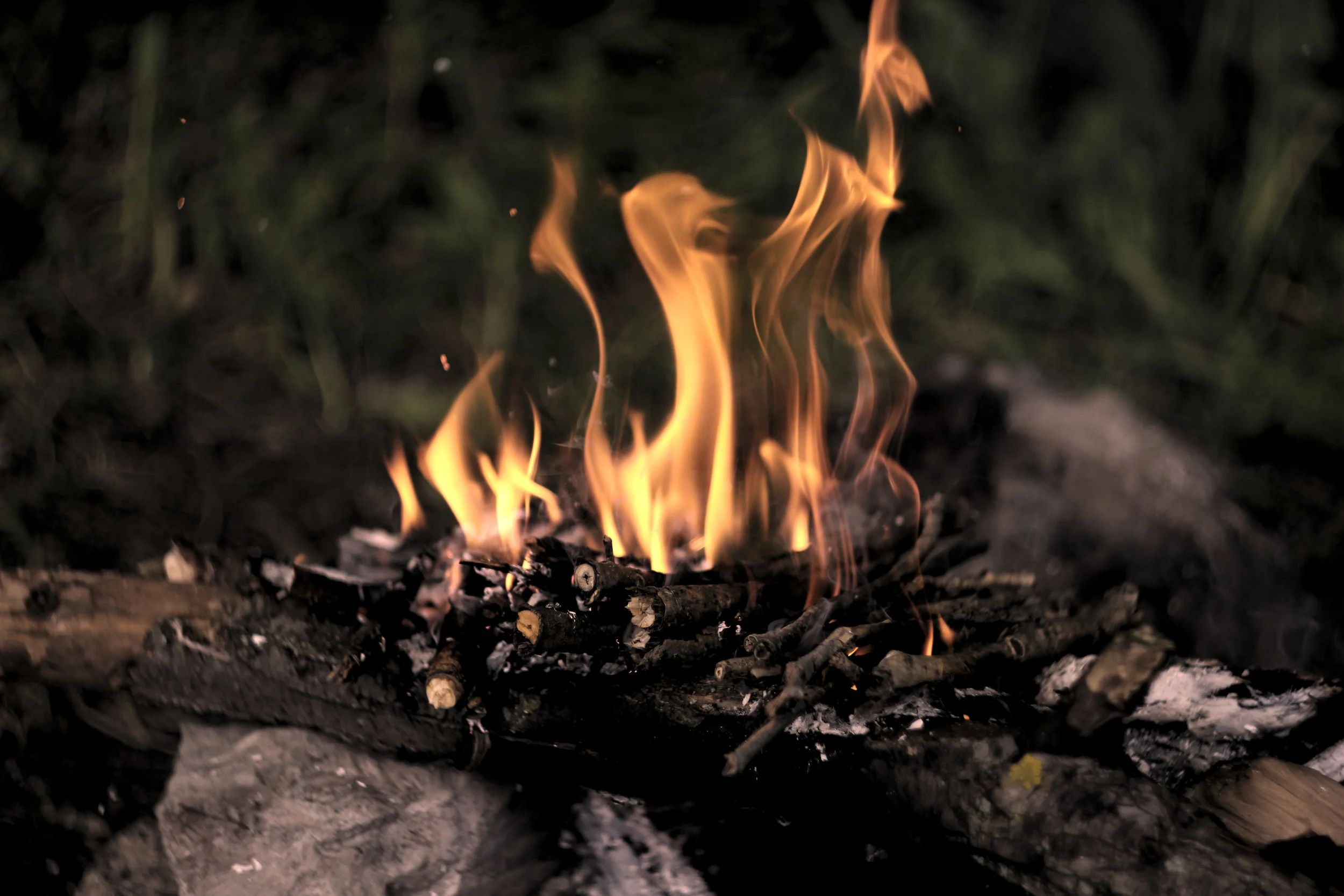 Un nuevo fuego … :: A new fire …