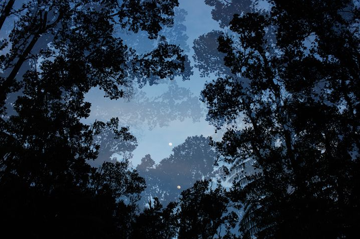 Screen Shot 2017-06-02 at 1.16.11 PM.png