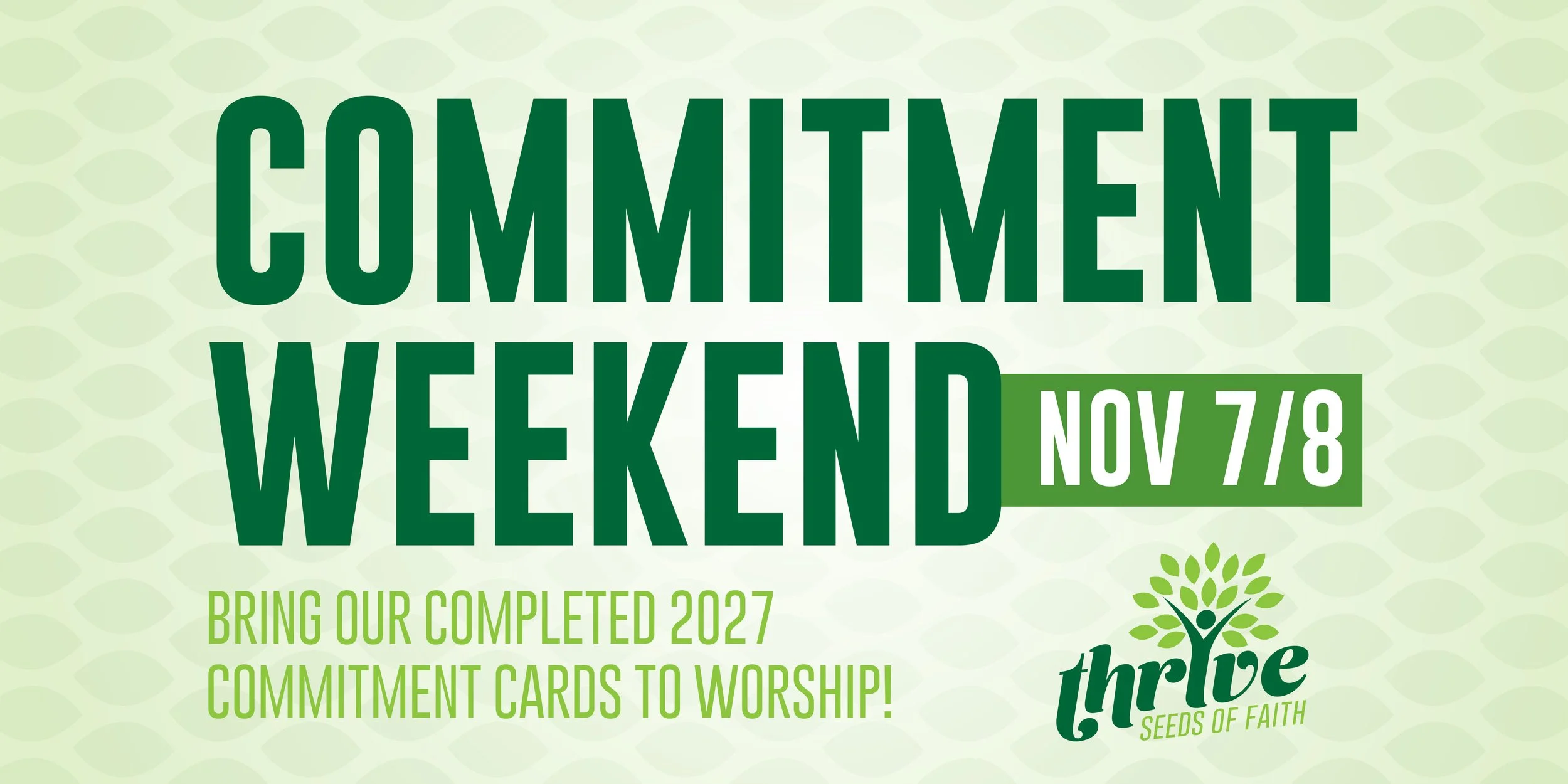 2027.StewardshipCard.BANNER.jpg