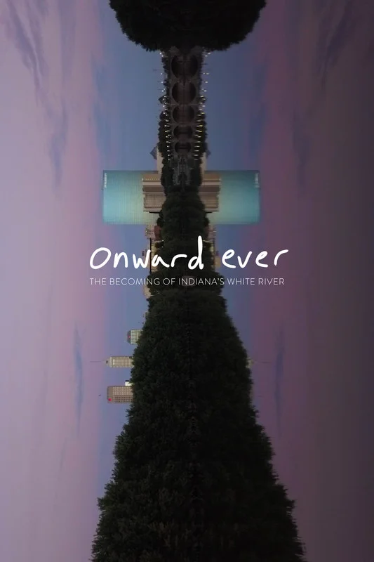 Poster c1dc216c28-poster.jpg
