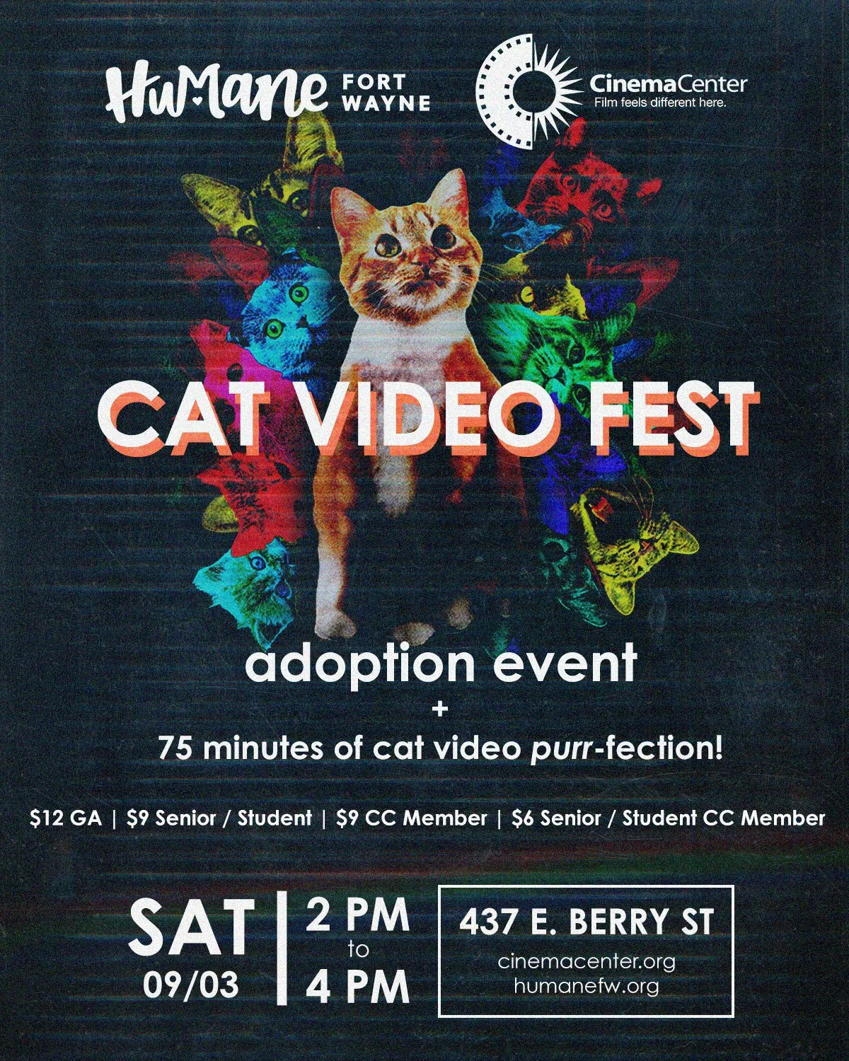 CATVIDEOFEST