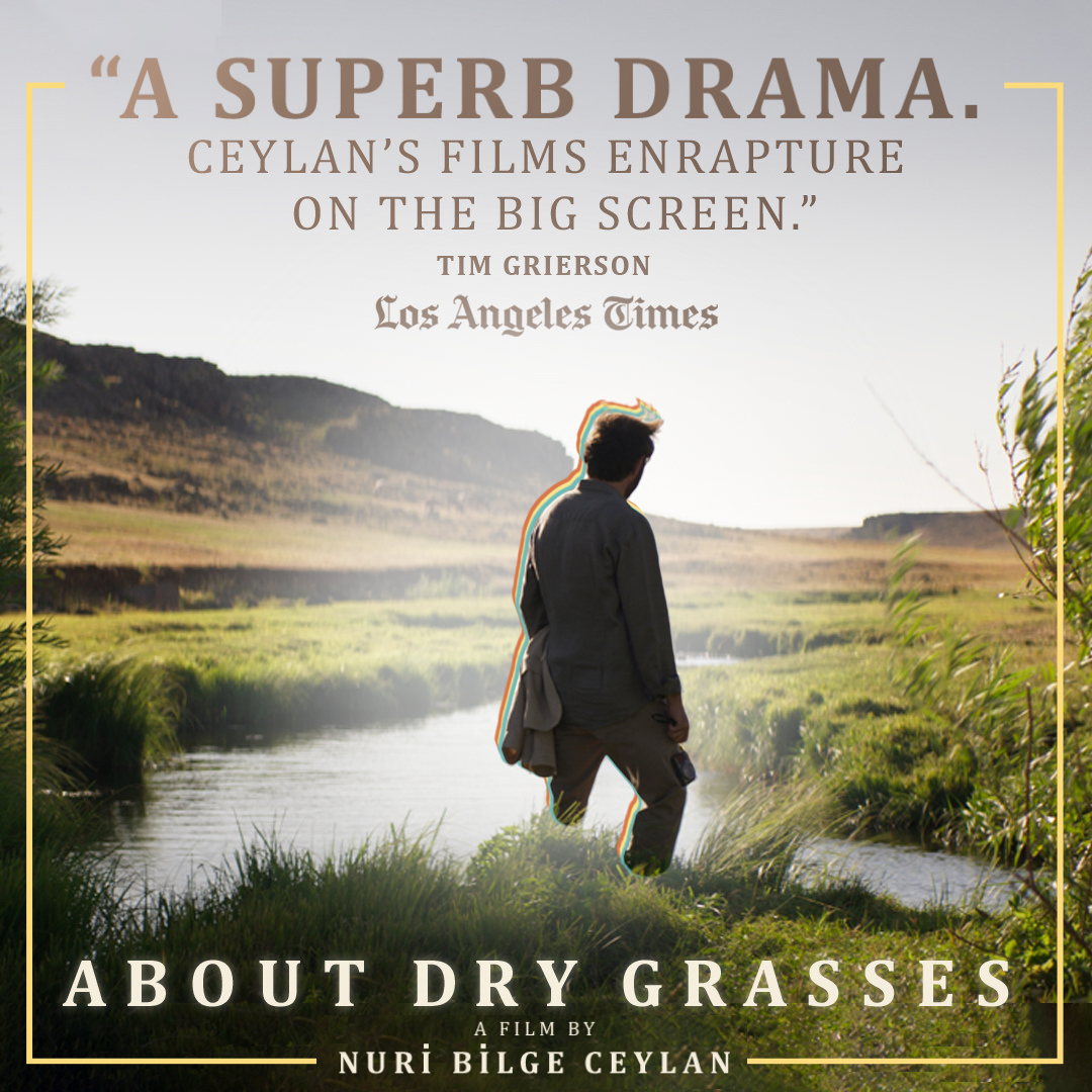 About Dry Grasses