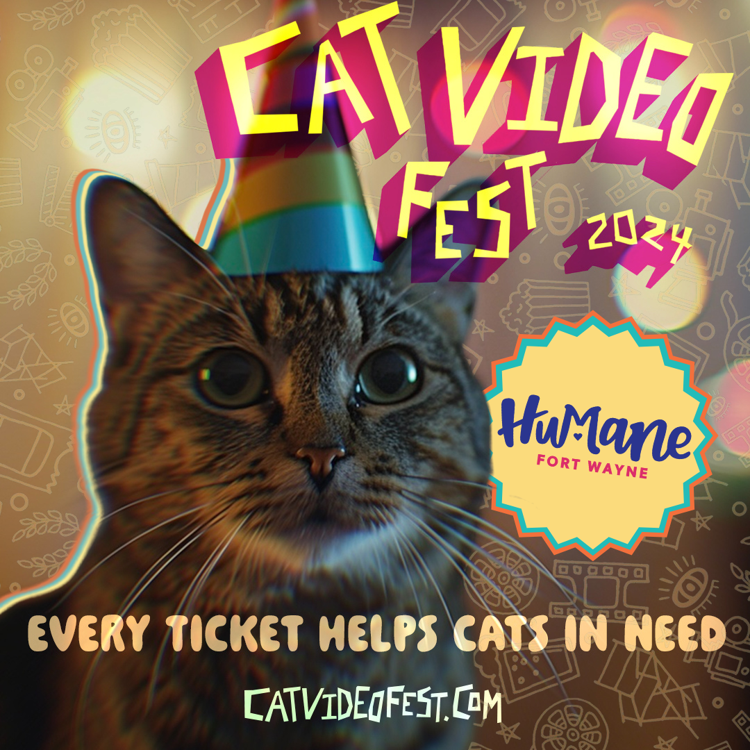 CatVideoFest 2024