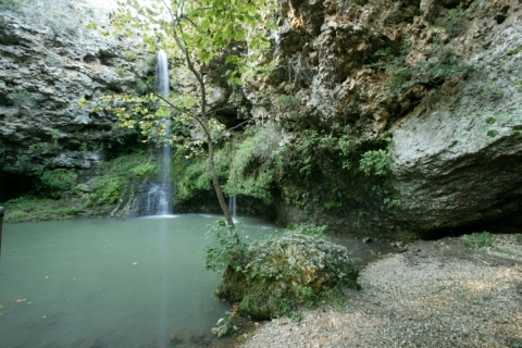 spring water.jpeg