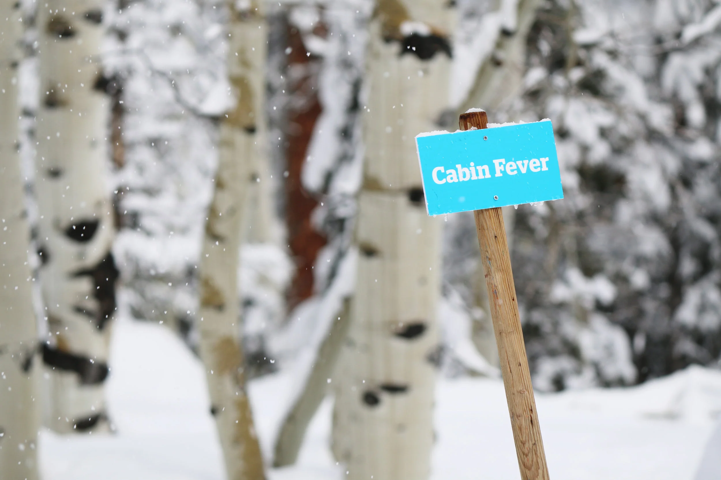 SomosFiOS: 2 Ways to Beat Cabin Fever