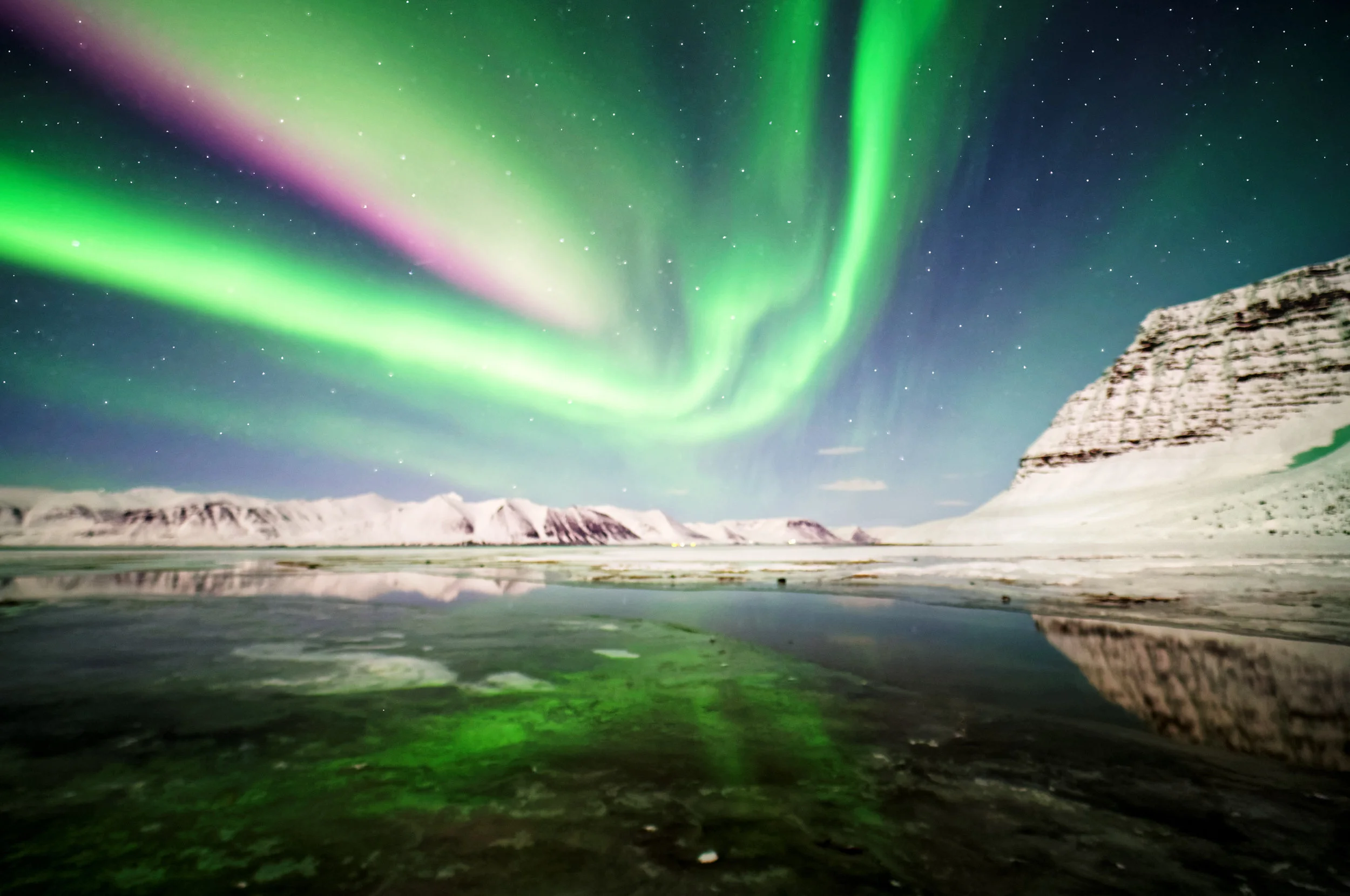 Announcing Top 5 Earth Day Apps From Verizon Wireless New York