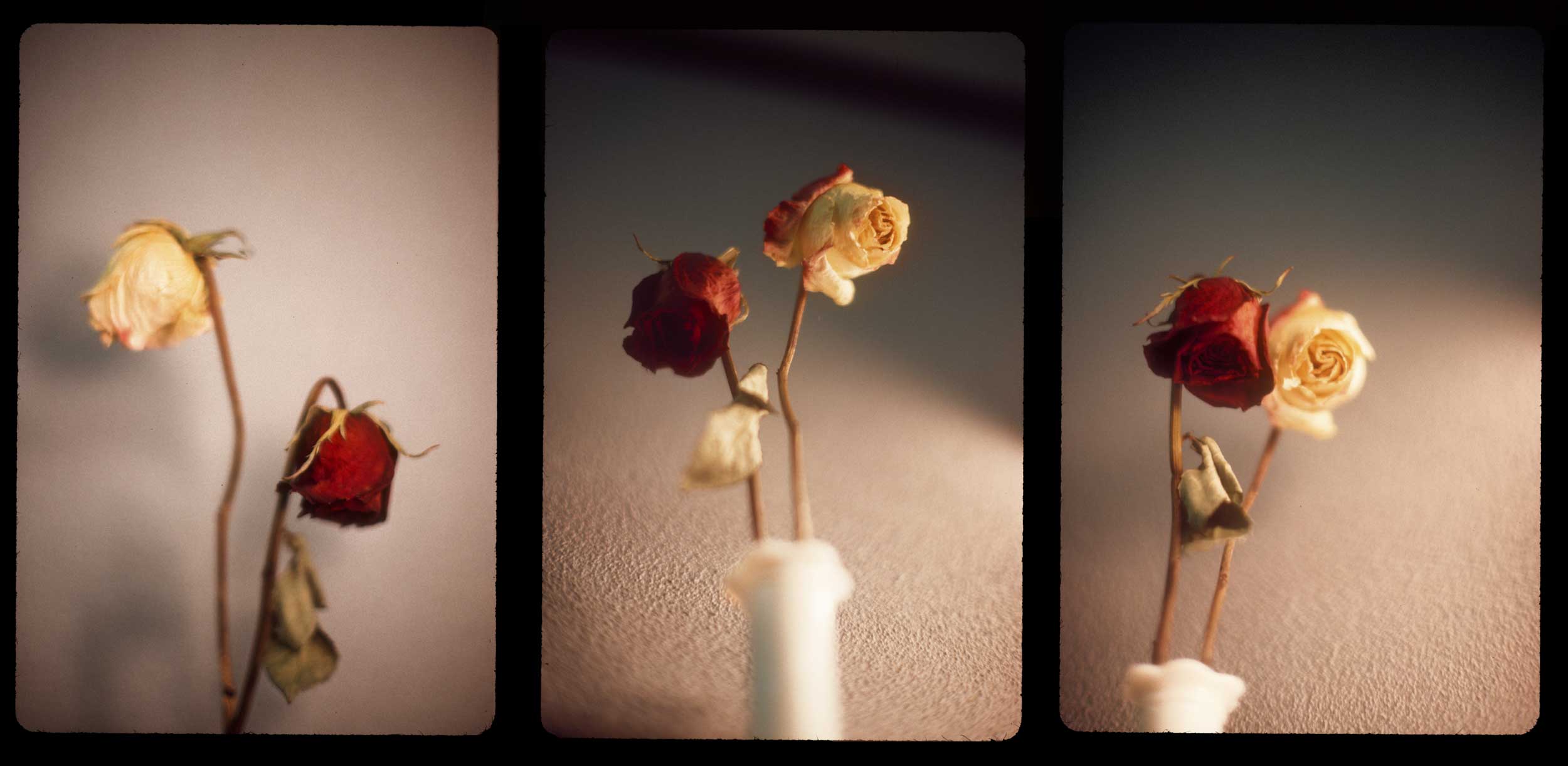 10 Triptych -- Kodachrome.jpg