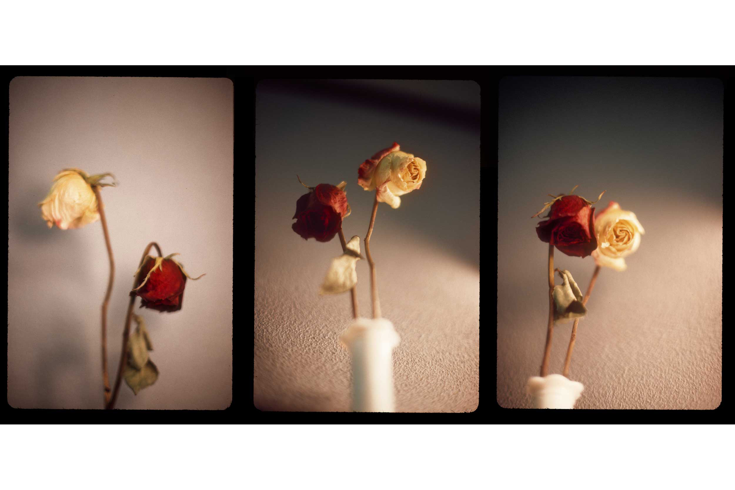 <br><br><br>Triptych in Kodachrome
