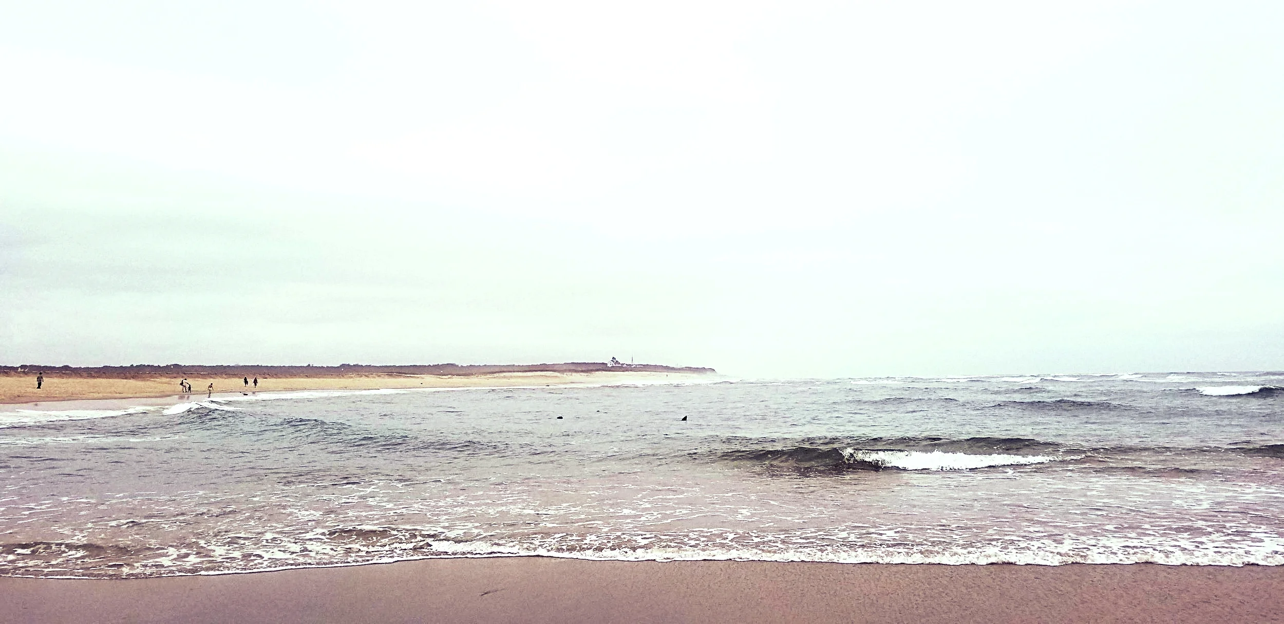 20180821_162951.jpg