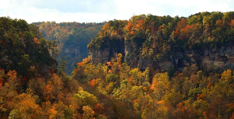 15 Spectacular Alabama Autumn Sights — Lake Martin Wave