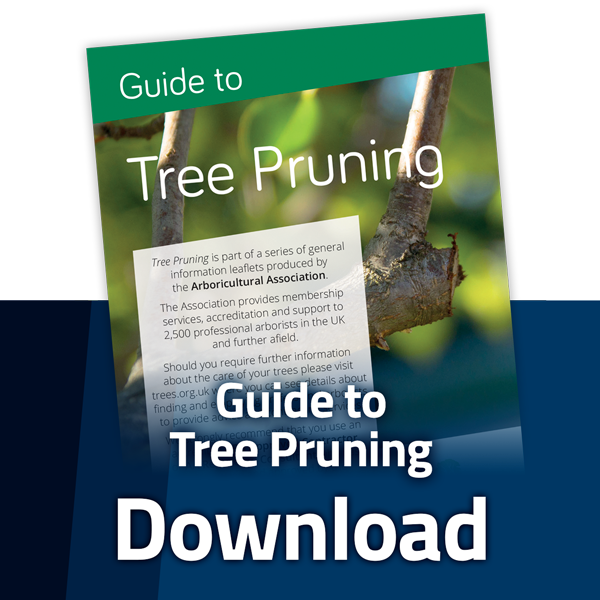 aa_tree_pruning_dl_button.png
