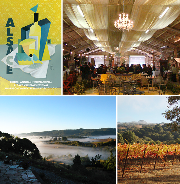 Photos Courtesy of Anderson Valley Winegrowers Association and the International Alsace Varietals Festival