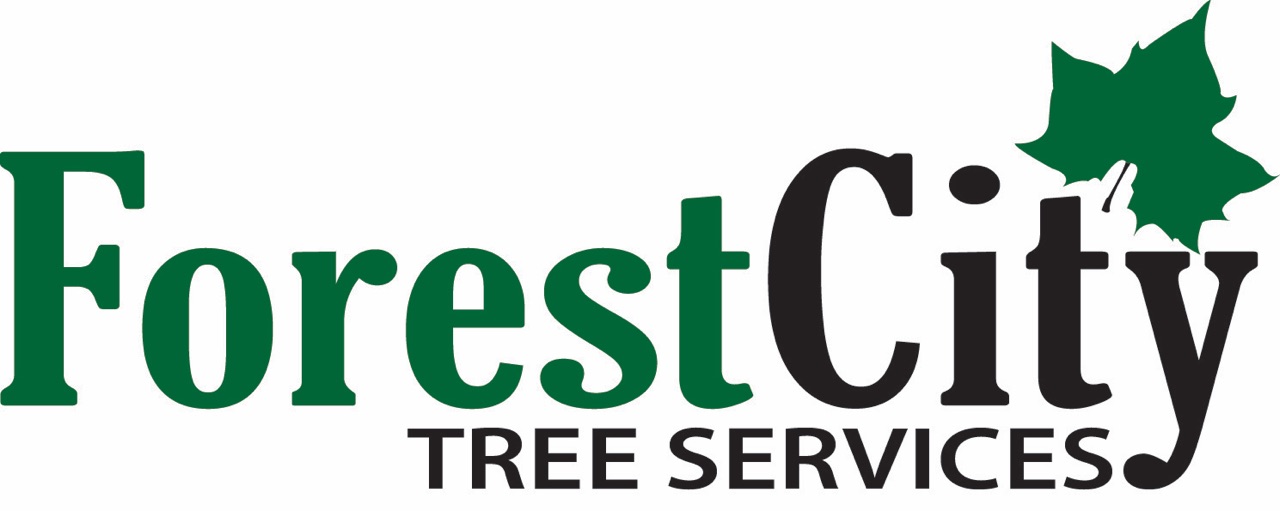 Forest City Tree Services