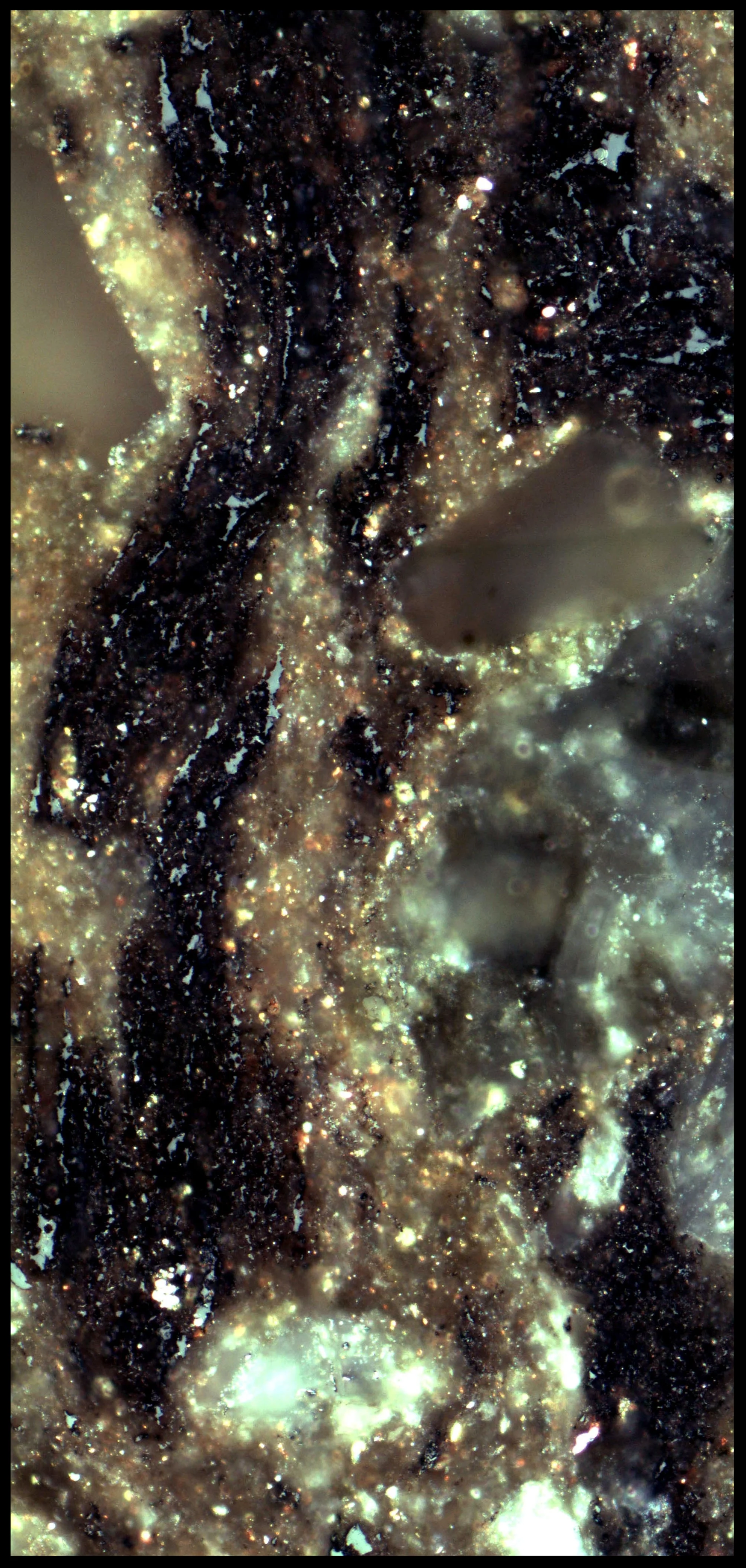 Thermally altered dispersed organic matter