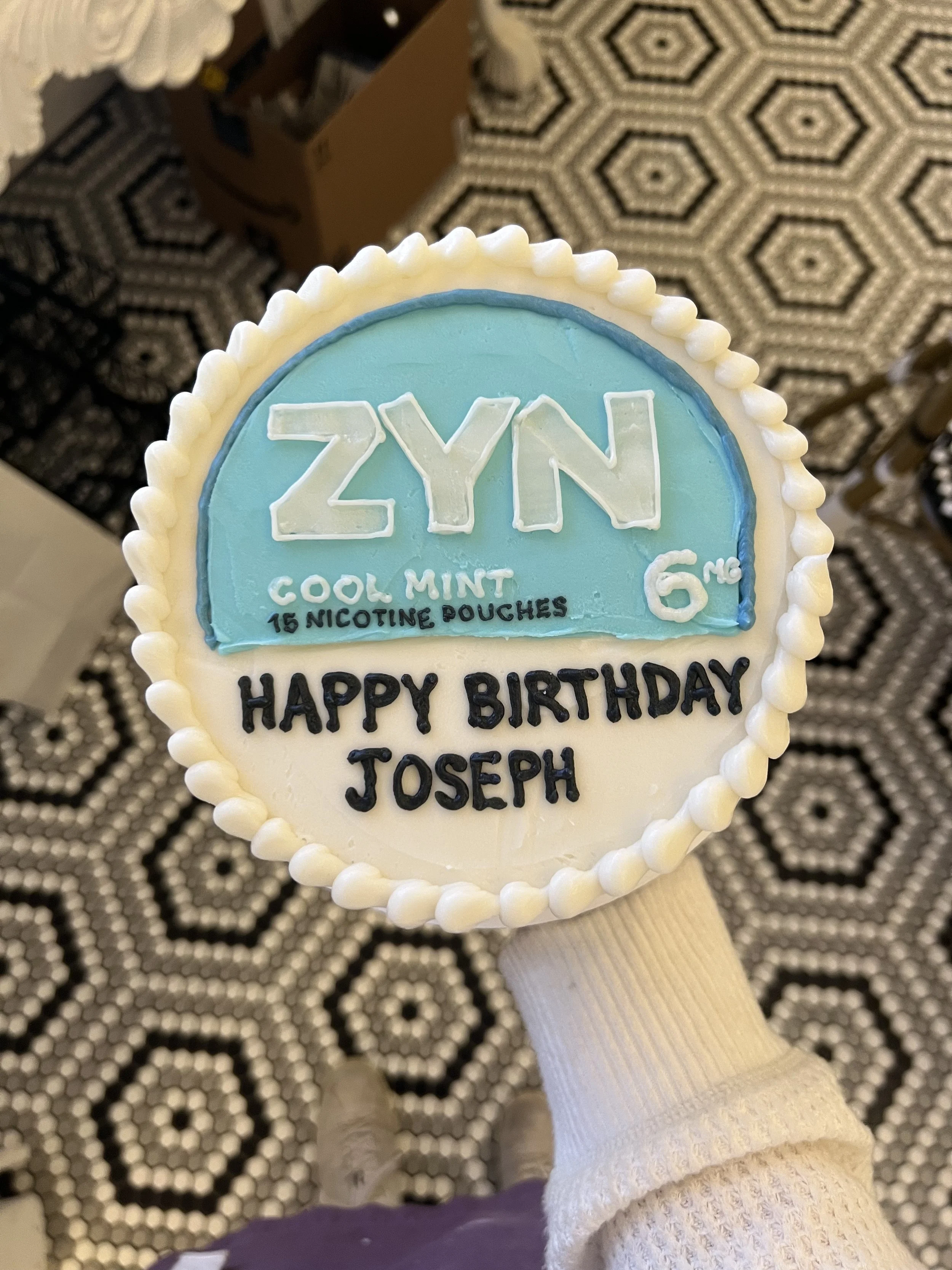 zyn 26.jpeg