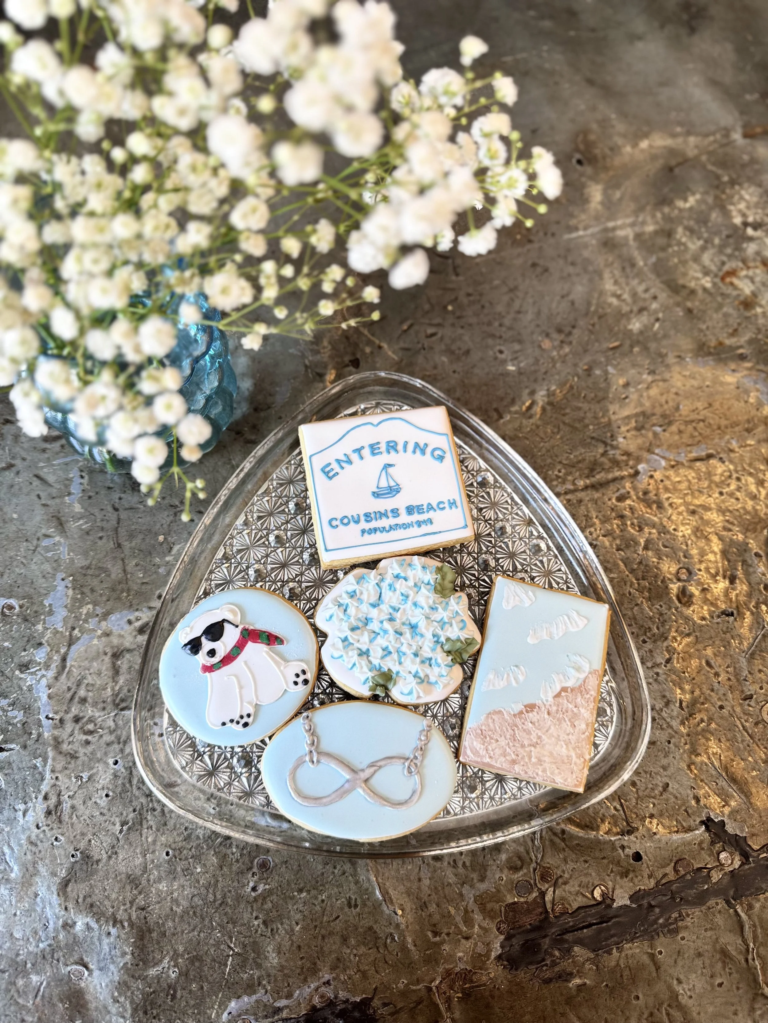 TSITP cookies 25.jpeg