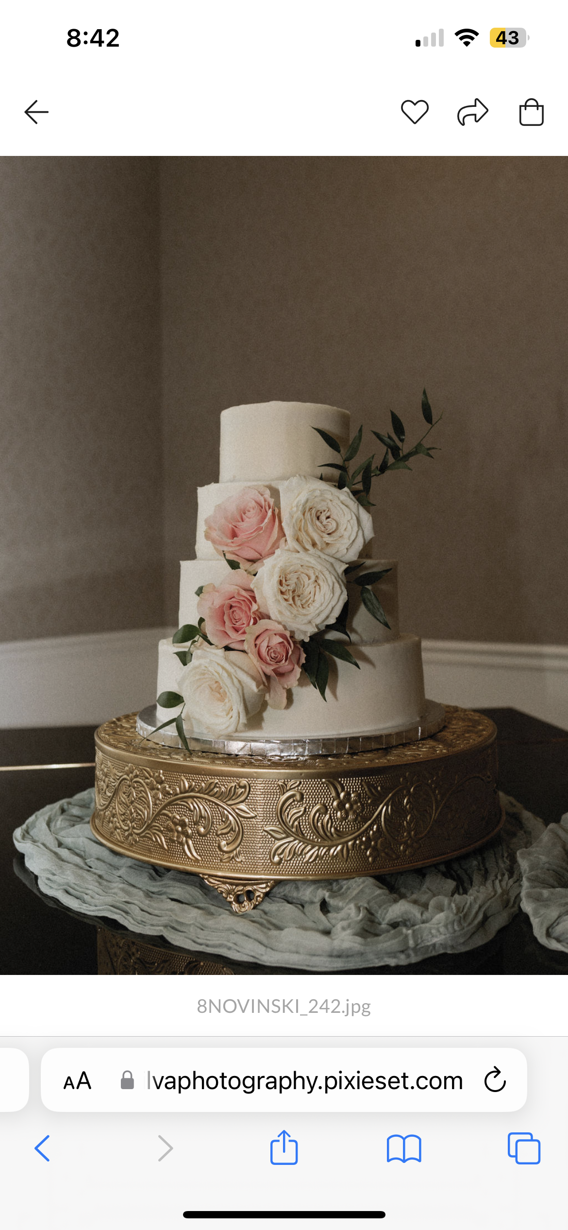 Claire Shatto wedding 23.PNG