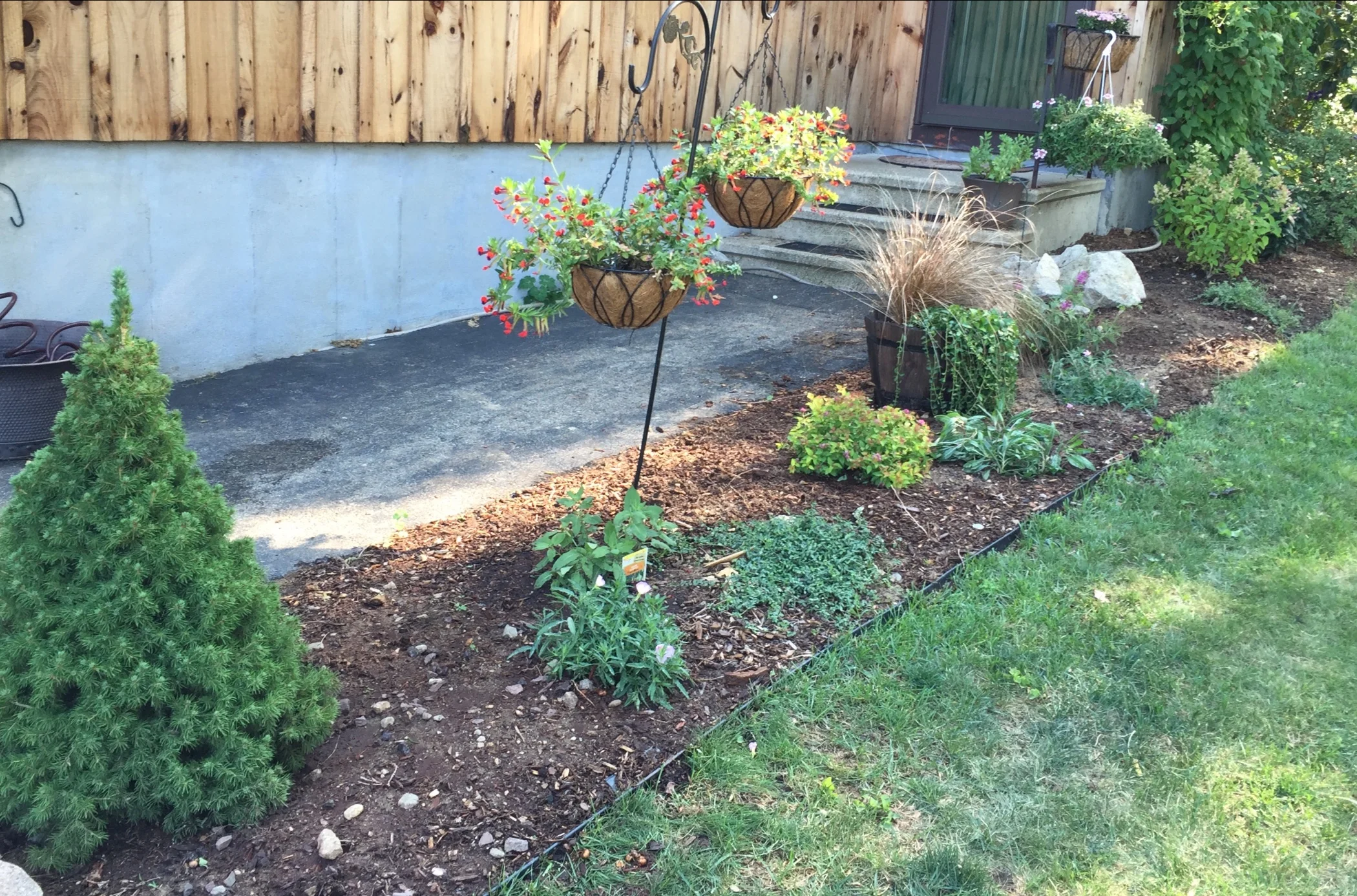Front Walk Garden