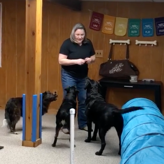 Day at the [Indoor] Park with Wendell